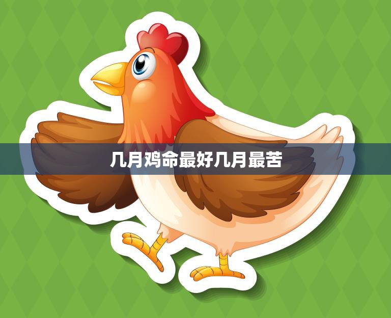 几月鸡命最好几月最苦(揭秘鸡的命运与季节之间的关系)