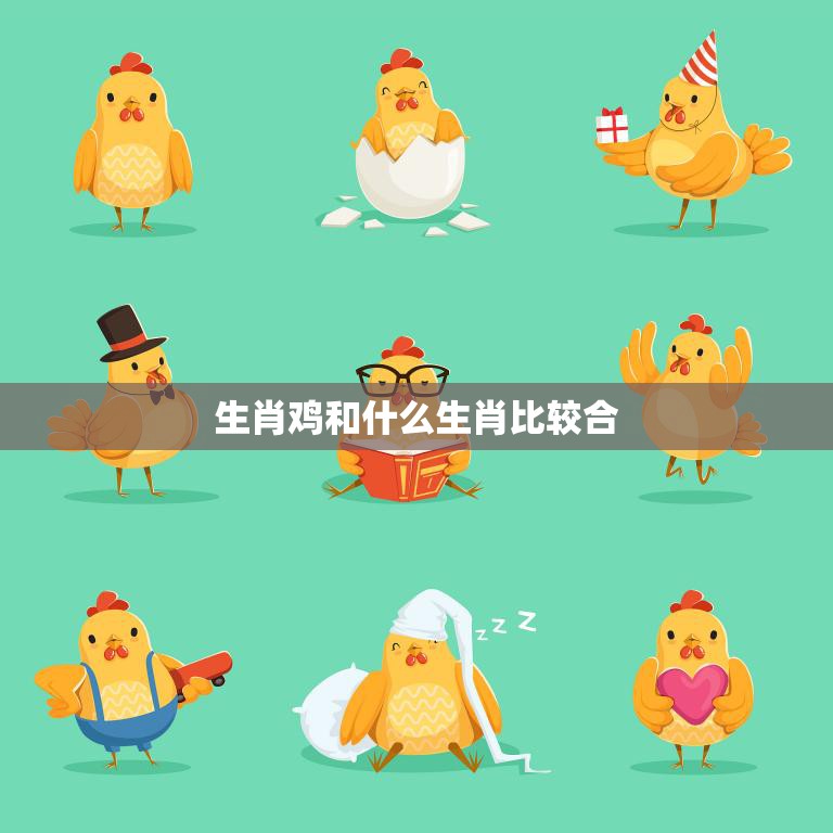 生肖鸡和什么生肖比较合(最佳搭档大揭秘)