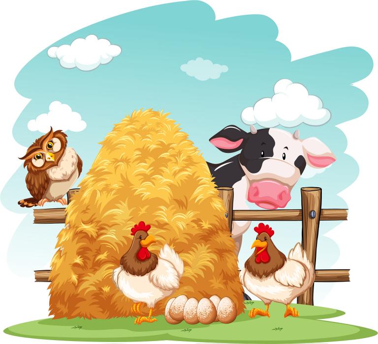 93年属鸡今日运势男士(好运连连财运亨通)