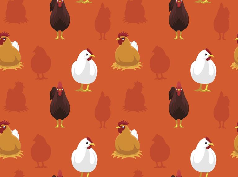 属鸡的人跟什么属相最配(十二生肖配对大揭秘)