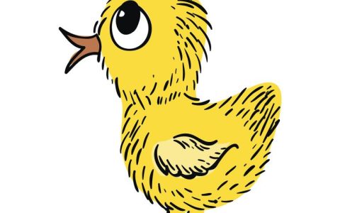81年的人今年运势如何(解析2023年属鸡人的运势)