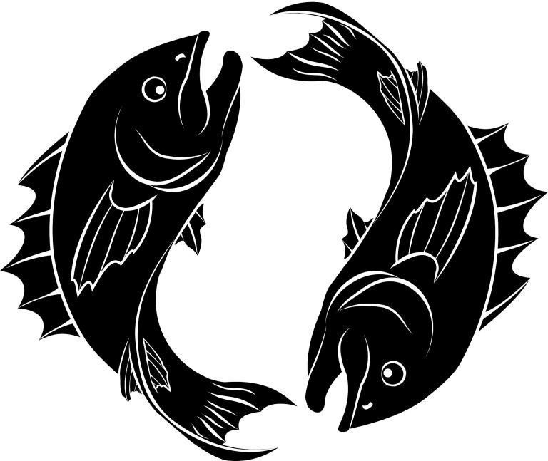 给双鱼男送什么礼物最好(如何选出最佳礼物)