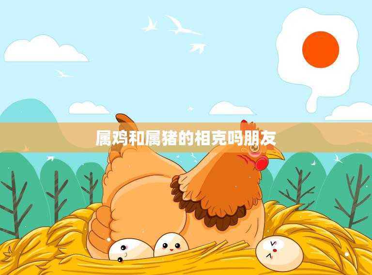 属鸡和属猪的相克吗朋友(如何化解)