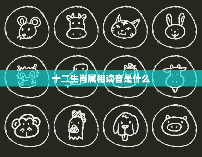 十二生肖属相读音是什么(十二生肖的正确读音大揭秘)