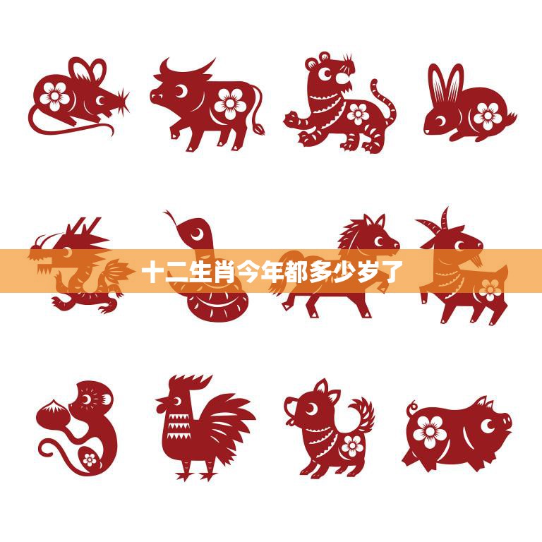 十二生肖今年都多少岁了(2023年生肖年龄一览)