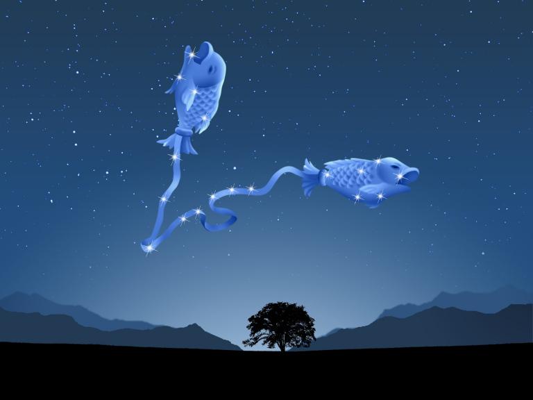 双鱼座生日礼物攻略(如何选出最贴心的礼物)