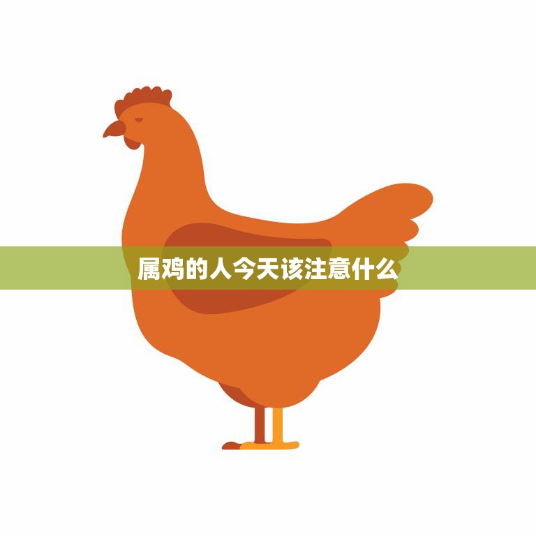 属鸡的人今天该注意什么(如何避免财务风险)