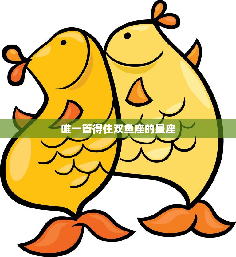 唯一管得住双鱼座的星座(揭秘谁能驾驭这个浪漫又神秘的星座)