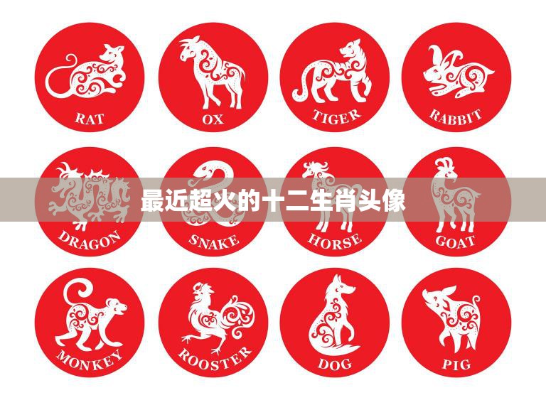 最近超火的十二生肖头像(十二生肖头像为何成为网络热门)