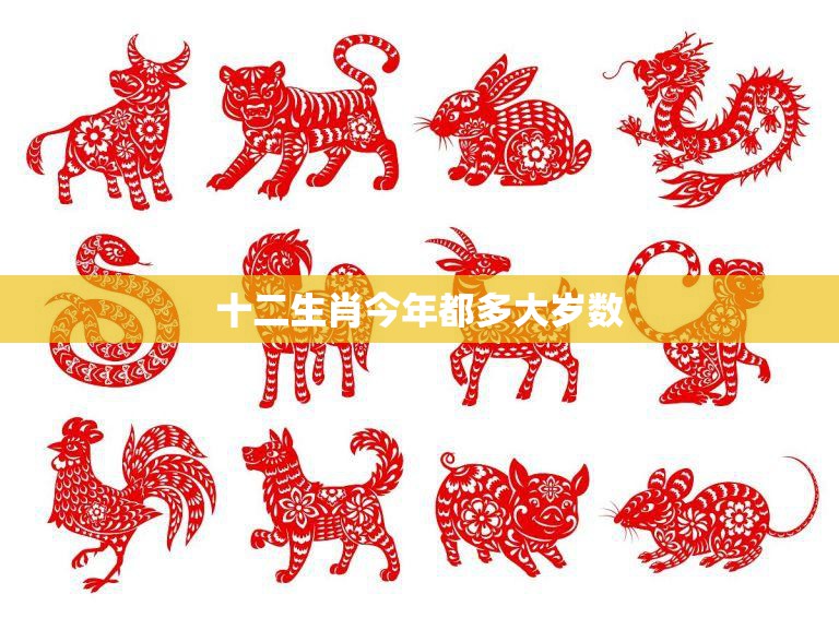 十二生肖今年都多大岁数(2023年各生肖年龄大揭秘)