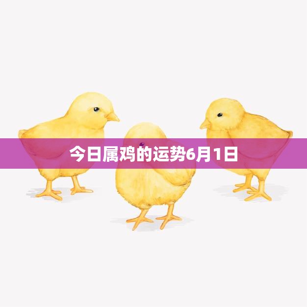 今日属鸡的运势6月1日(财运亨通事业顺利)