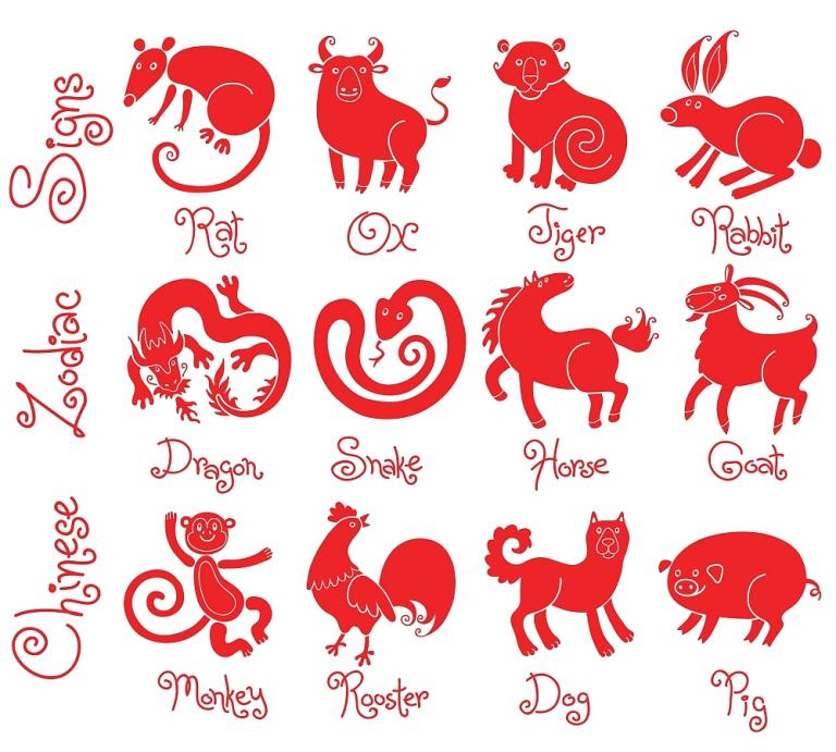 未来十年十二生肖年份表(预测哪些生肖将迎来好运)