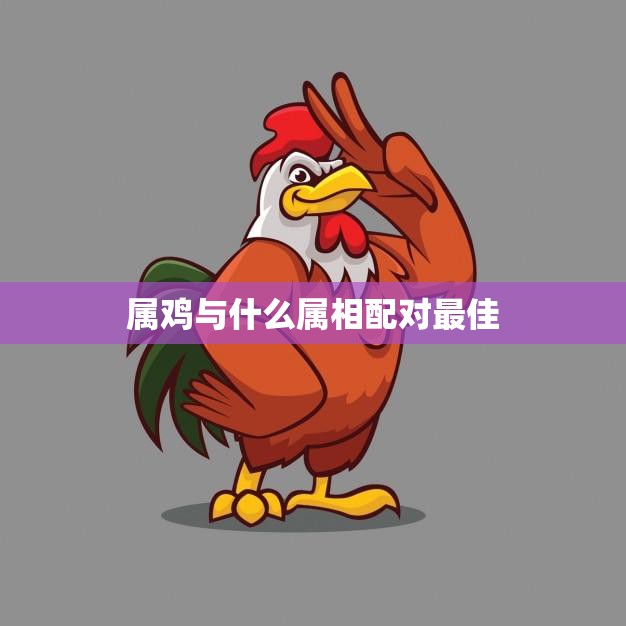属鸡与什么属相配对最佳(十二生肖中最佳配对大揭秘)
