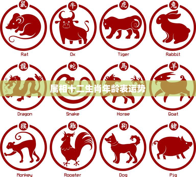 属相十二生肖年龄表运势(如何预测你的未来)
