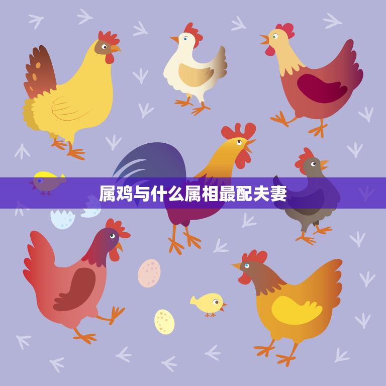 属鸡与什么属相最配夫妻(完美配对幸福)