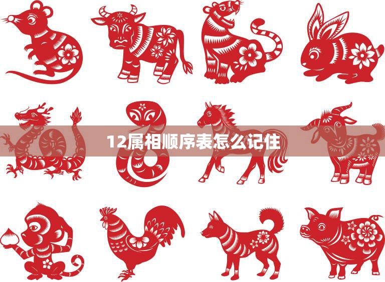 12属相顺序表怎么记住(掌握属相排列顺序的技巧)