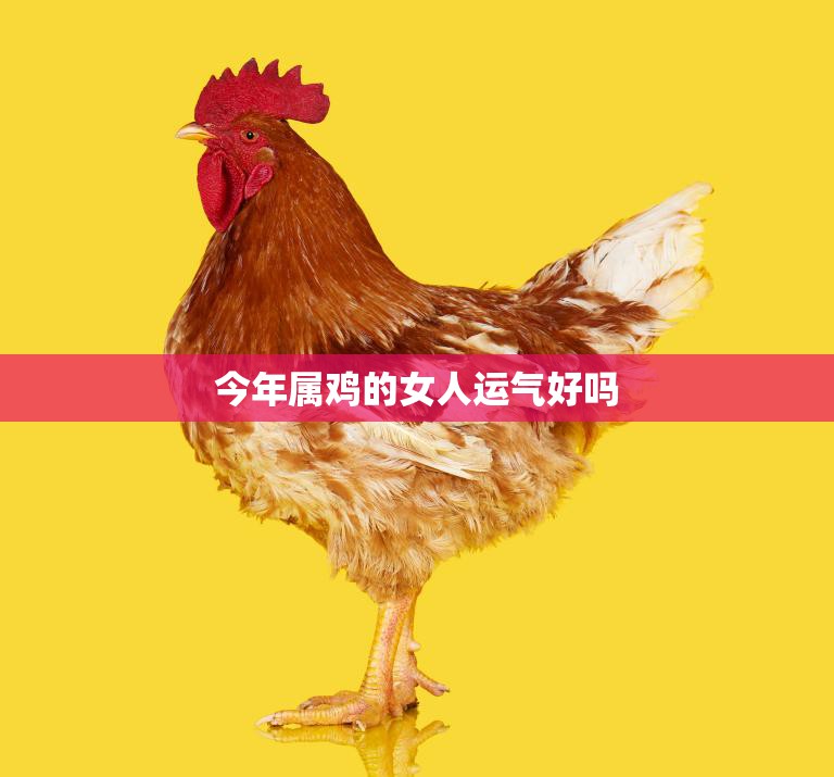 今年属鸡的女人运气好吗(解析2023年属人的运势)