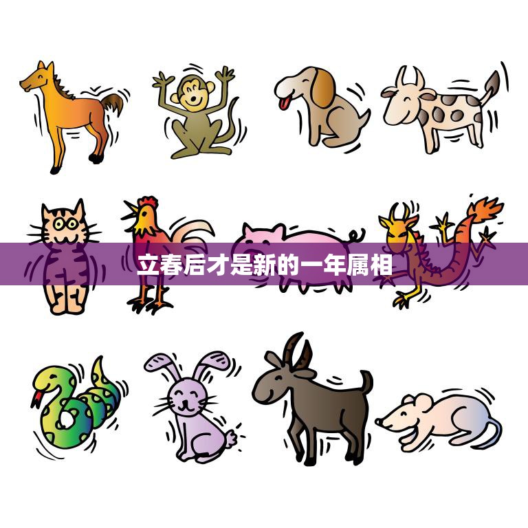 立春后才是新的一年属相(为何如此重要)