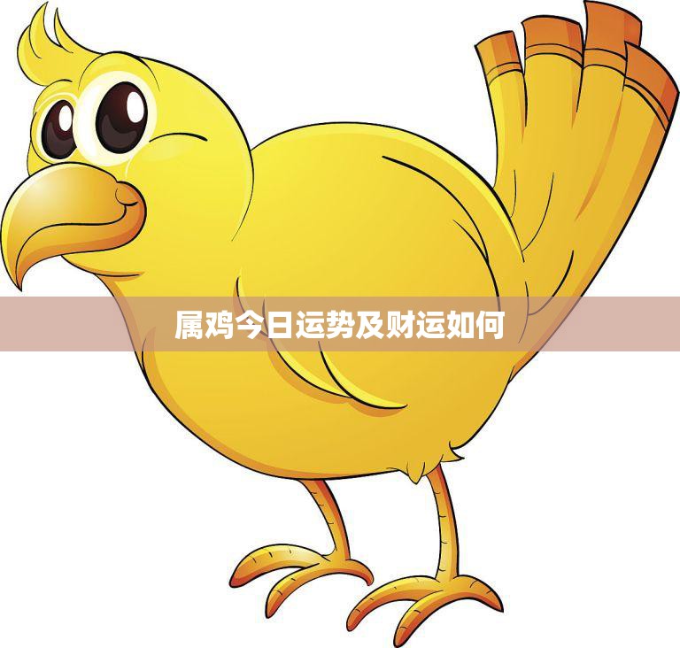 属鸡今日运势及财运如何(财运旺盛运势平稳)