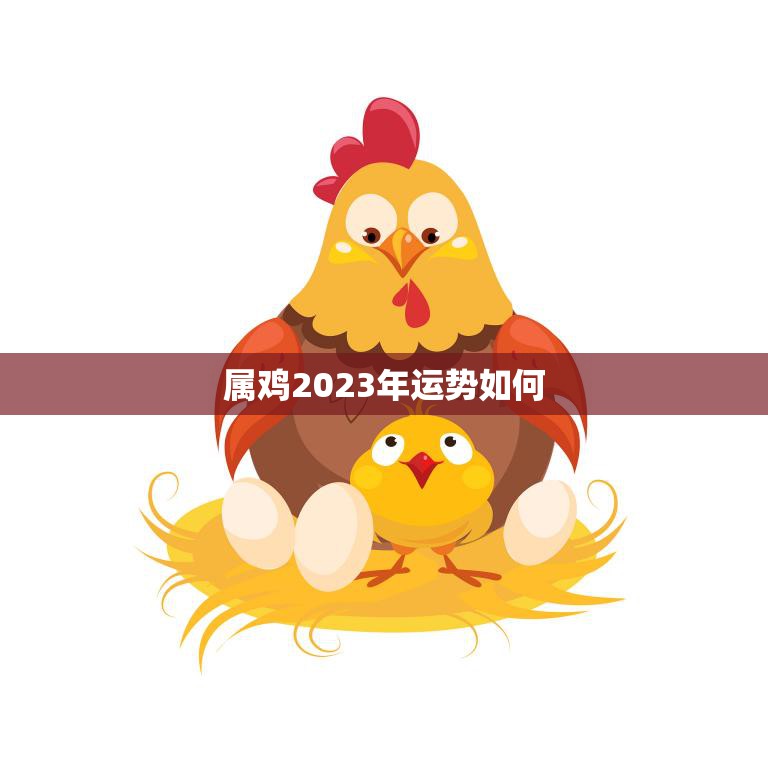 属鸡2023年运势如何(展翅高飞财运亨通)