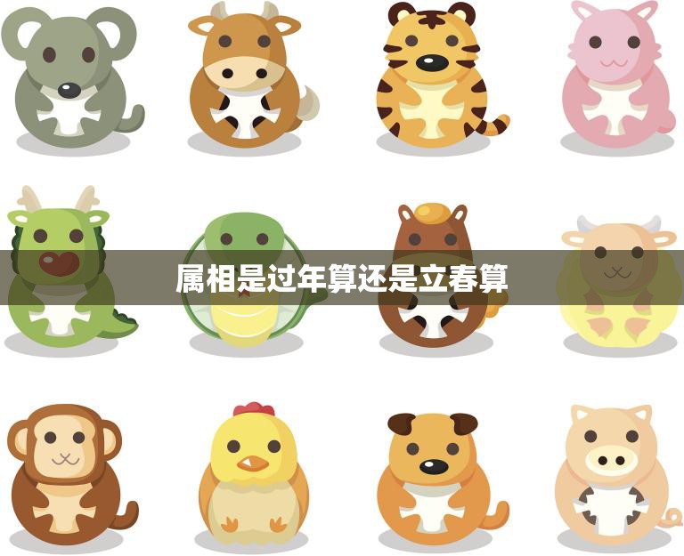 属相是过年算还是立春算(如何确定生肖属相)
