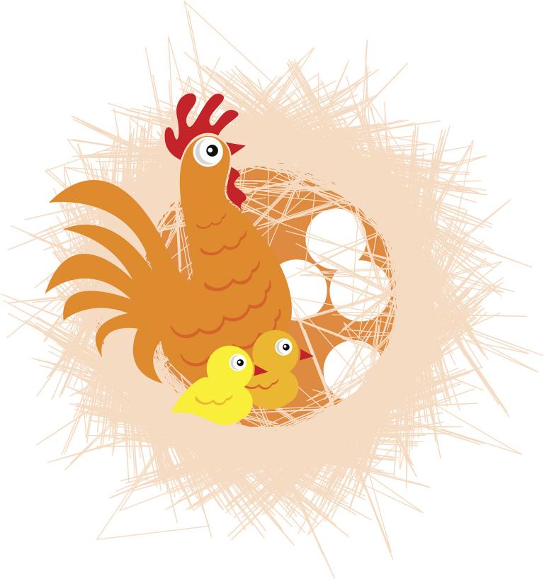 属鸡的是哪年生人的命运(解析属鸡人的性格特点及命运走向)