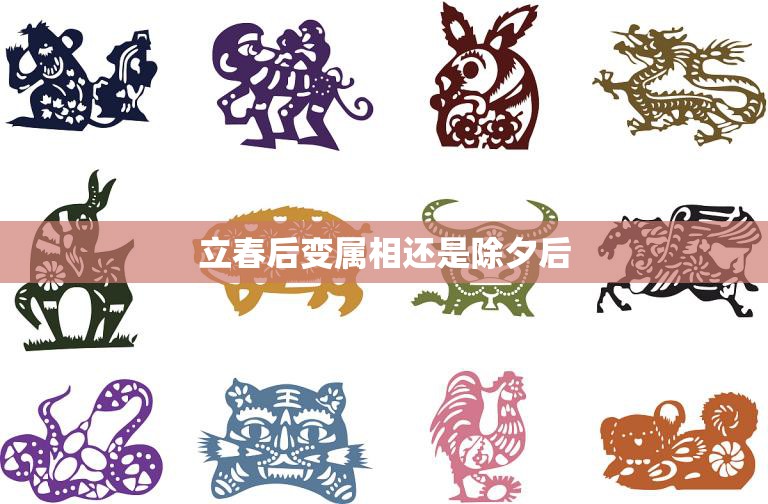 立春后变属相还是除夕后(决定你的生肖归属)