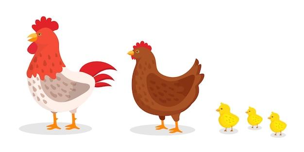 生肖鸡男最佳配对生肖猪(完美组合爱情事业两得意)