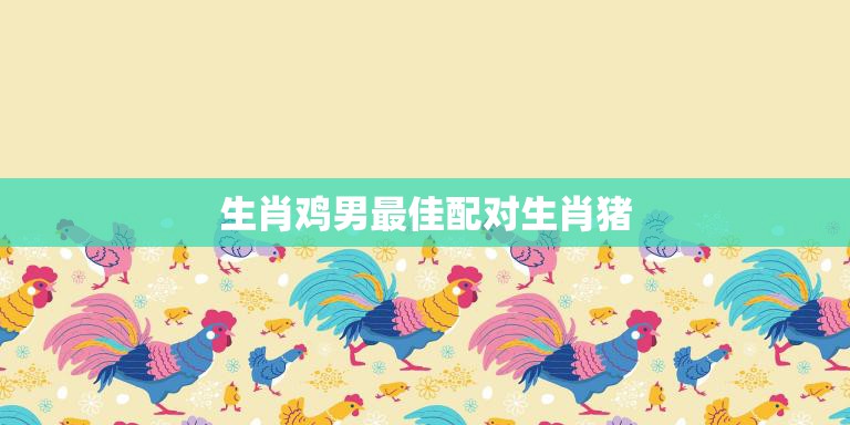 生肖鸡男最佳配对生肖猪(完美组合爱情事业两得意)