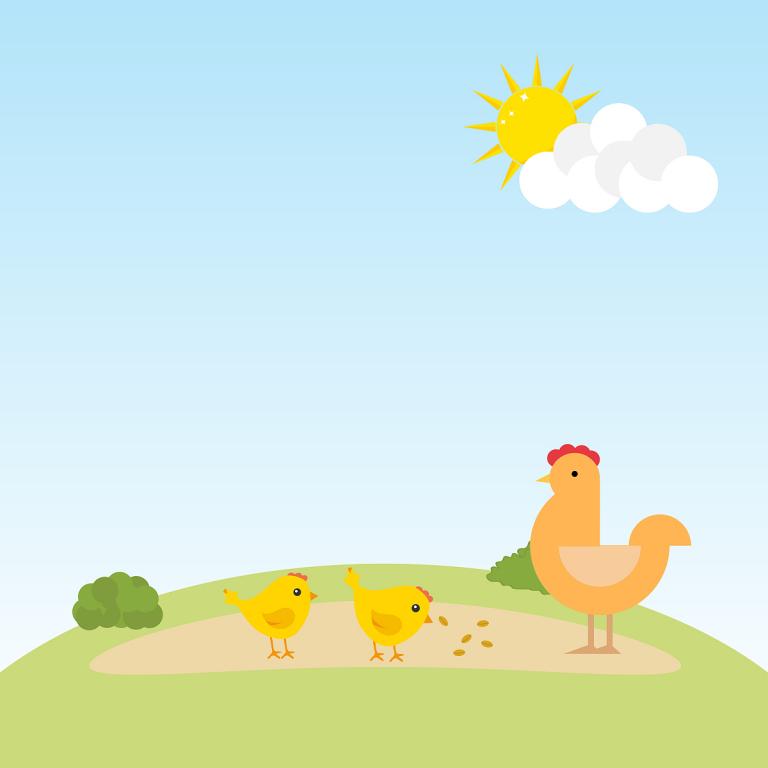 属鸡的适合佩戴什么吊坠(如何选择最合适的吉祥物)