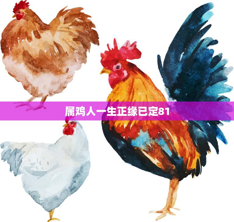 属鸡人一生正缘已定81(命中注定的爱情之路)