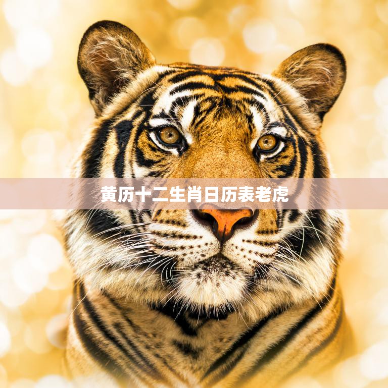 黄历十二生肖日历表老虎(了解老虎的吉凶宜忌掌握好运来临的时机)