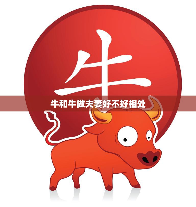 牛和牛做夫妻好不好相处(探究同类相爱还是难以相处)