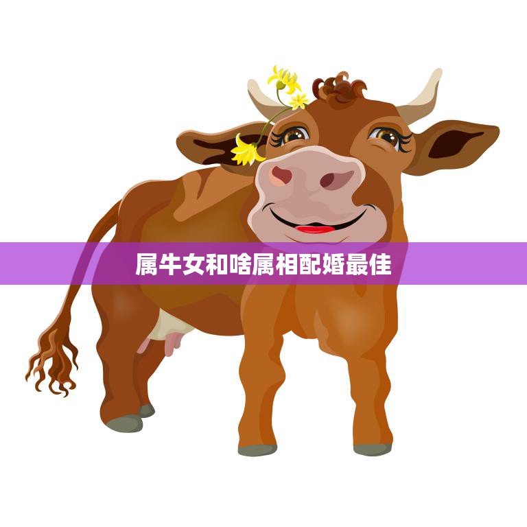 属牛女和啥属相配婚最佳(最佳婚配属相大揭秘)