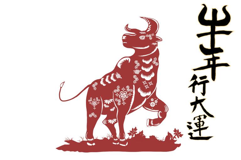 属牛的和属什么最配婚姻(如何选择最佳婚姻对象)