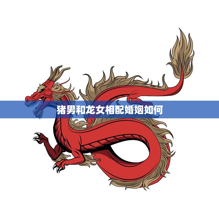 猪男和龙女相配婚姻如何(幸福的秘诀)