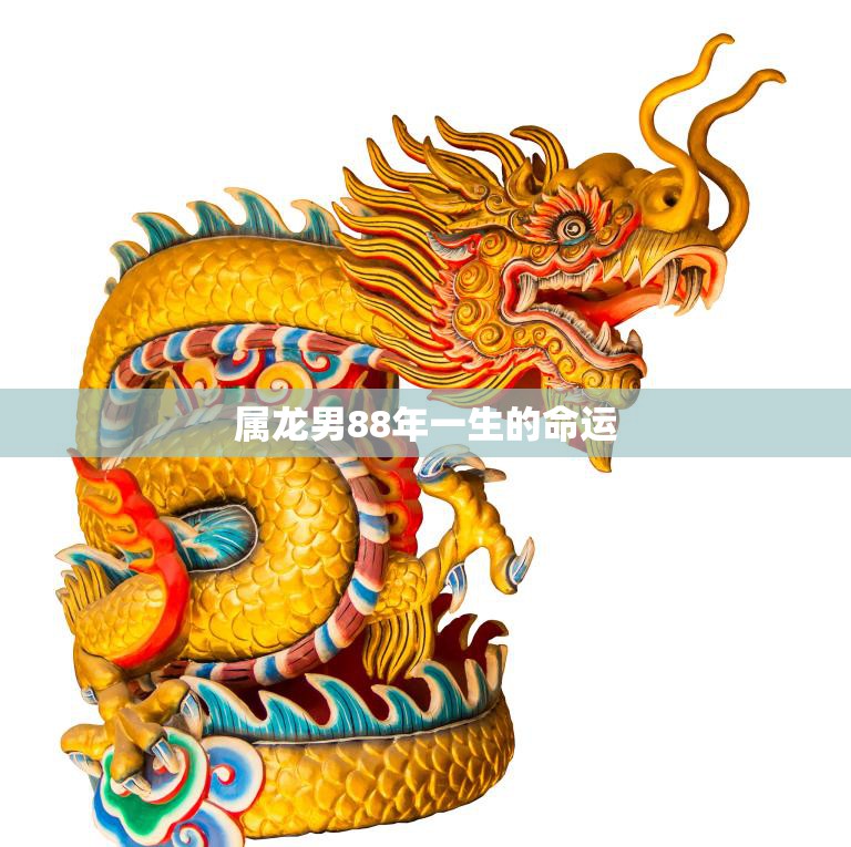 属龙男88年一生的命运(如何预测)