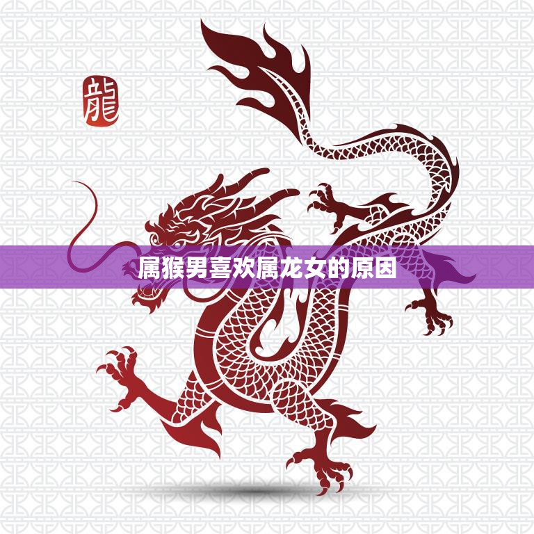 属猴男喜欢属龙女的原因(探究星座配对的奥秘)