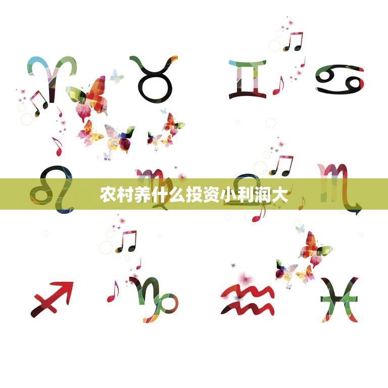 农村养什么投资小利润大(探索农村养殖新机遇)