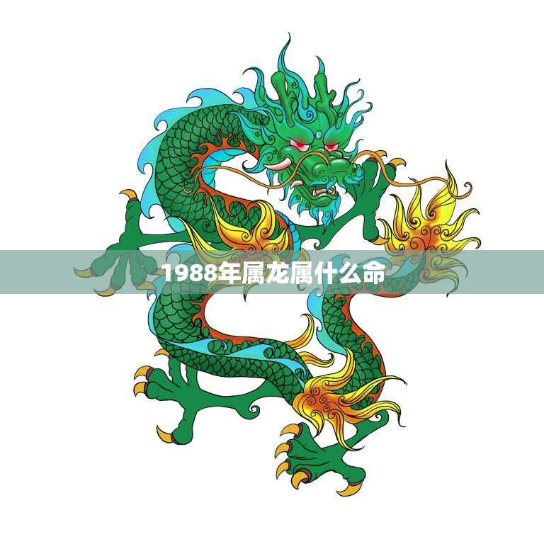 1988年属龙属什么命(解析命运多变的龙年命运)