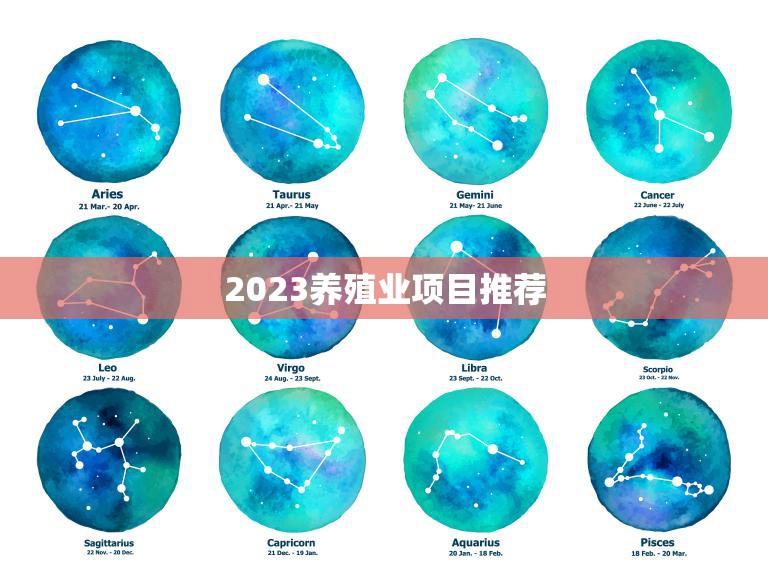 2023养殖业项目推荐(打造高效盈利的养殖新)