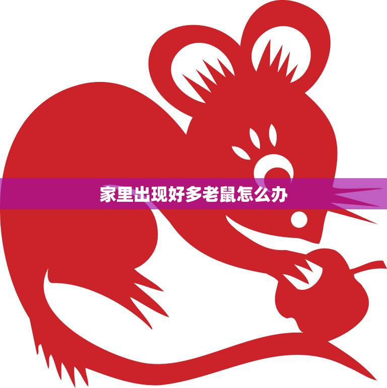 家里出现好多老鼠怎么办(快速有效的灭鼠方法)