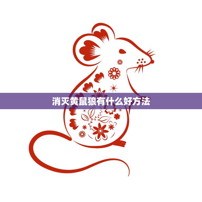 消灭黄鼠狼有什么好方法(快速有效的灭黄鼠狼攻略)