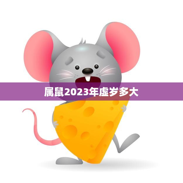 属鼠2023年虚岁多大(如何计算属鼠人的虚岁)