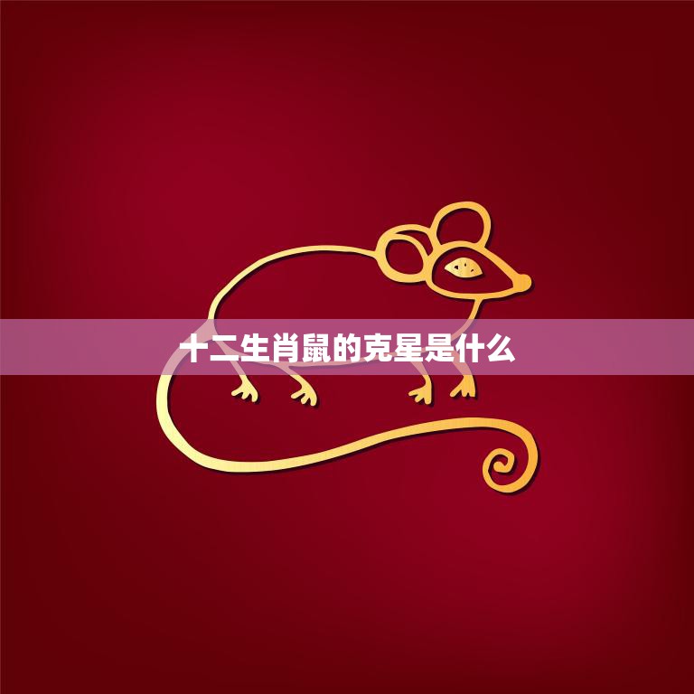 十二生肖鼠的克星是什么(揭秘鼠年运势的关键)