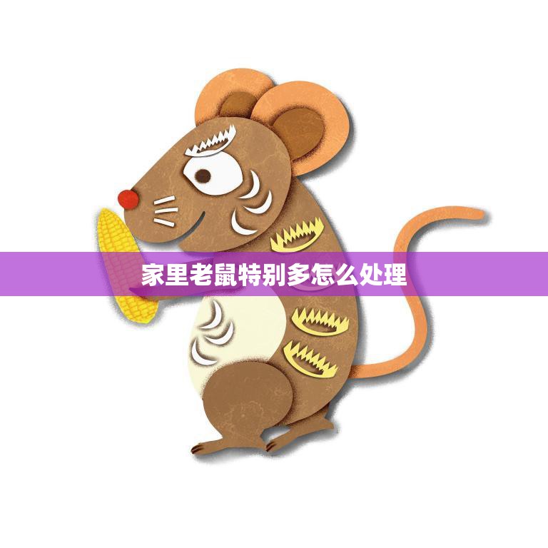 家里老鼠特别多怎么处理(快速有效的灭鼠方法)