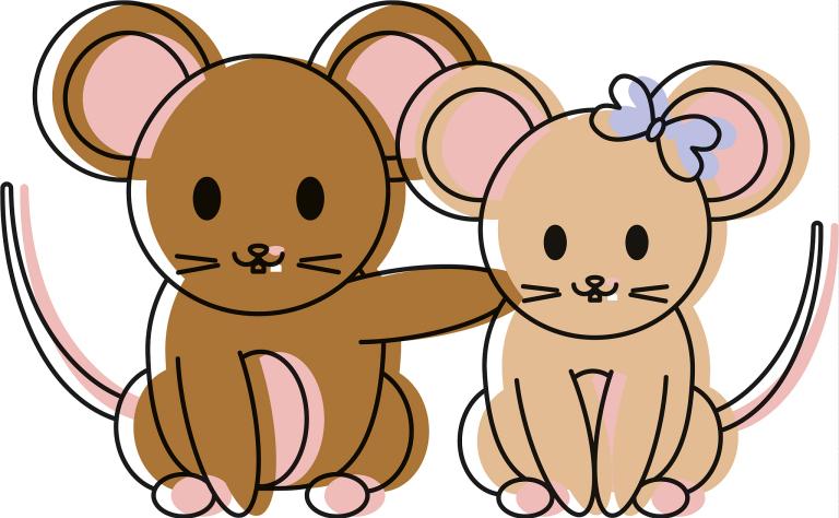 84年女鼠一生命运财运(如何在命运中财富)