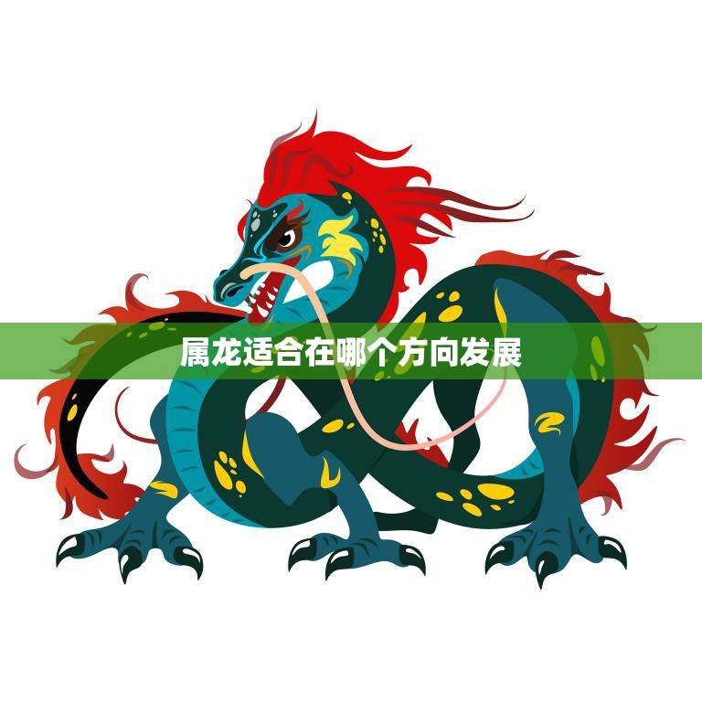 属龙适合在哪个方向发展(探究事业、财富、人际关系)