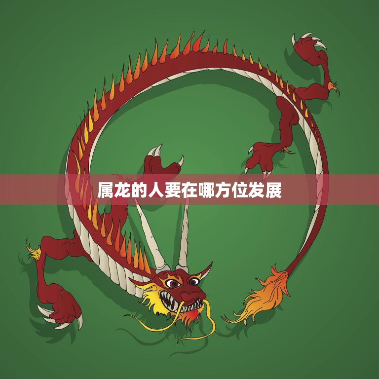 属龙的人要在哪方位发展(探索龙年生肖的职业发展之路)