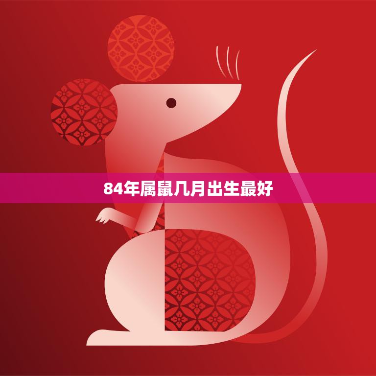84年属鼠几月出生最好(如何选择最佳出生月份)